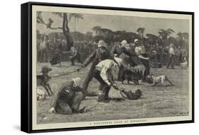 A Menagerie Race at Singapore-John Charles Dollman-Framed Stretched Canvas