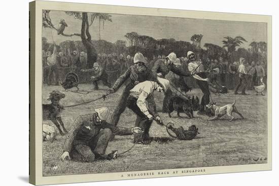 A Menagerie Race at Singapore-John Charles Dollman-Stretched Canvas