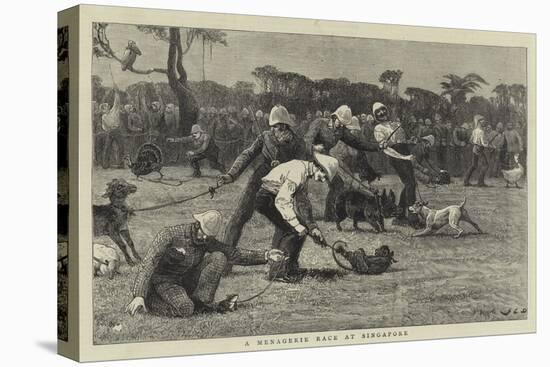 A Menagerie Race at Singapore-John Charles Dollman-Stretched Canvas