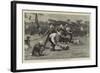 A Menagerie Race at Singapore-John Charles Dollman-Framed Giclee Print