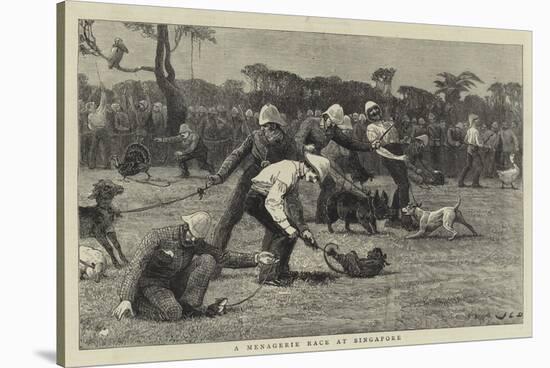 A Menagerie Race at Singapore-John Charles Dollman-Stretched Canvas