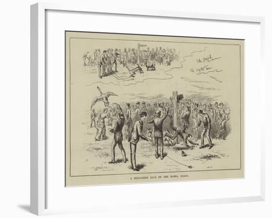 A Menagerie Race on the Marsa, Malta-null-Framed Giclee Print