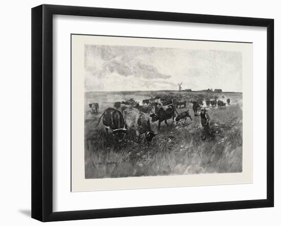 A Mennonite Girl Herding Cattle, Canada, Nineteenth Century-null-Framed Giclee Print