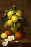 A Still Life of Lemons and Oranges-A Mensaque-Mounted Giclee Print