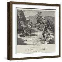 A Merciful Tigress-Frank Dadd-Framed Giclee Print