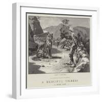 A Merciful Tigress-Frank Dadd-Framed Giclee Print