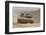 A Merkava Iii Main Battle Tank in the Negev Desert, Israel-Stocktrek Images-Framed Photographic Print