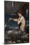 A Mermaid, 1900 (Oil on Canvas)-John William Waterhouse-Mounted Giclee Print