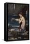 A Mermaid, 1900 (Oil on Canvas)-John William Waterhouse-Framed Stretched Canvas