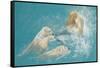 A Mermaid and Polar Bears (Pencil & Chalk on Paper)-Arthur Wardle-Framed Stretched Canvas