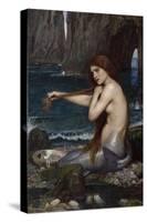 A Mermaid-John William Waterhouse-Stretched Canvas