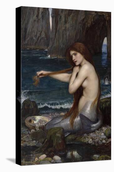 A Mermaid-John William Waterhouse-Stretched Canvas