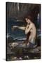 A Mermaid-John William Waterhouse-Stretched Canvas
