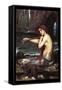 A Mermaid-John William Waterhouse-Framed Stretched Canvas