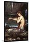 A Mermaid-John William Waterhouse-Stretched Canvas