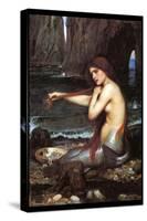 A Mermaid-John William Waterhouse-Stretched Canvas