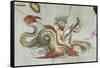 a Merman, Playing an Instrument-Abraham Ortelius-Framed Stretched Canvas