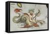 a Merman, Playing an Instrument-Abraham Ortelius-Framed Stretched Canvas