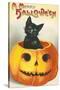 A Merry Halloween, Cat in Jack O'Lantern-null-Stretched Canvas