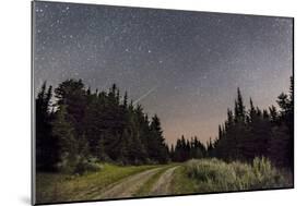 A Meteor and the Big Dipper in the Clear Sky on the Summit of Mount Kobau, Canada-Stocktrek Images-Mounted Photographic Print