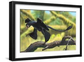 A Microraptor Perched on a Tree Branch-null-Framed Art Print