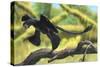 A Microraptor Perched on a Tree Branch-null-Stretched Canvas