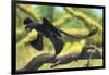 A Microraptor Perched on a Tree Branch-null-Framed Art Print