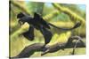 A Microraptor Perched on a Tree Branch-null-Stretched Canvas