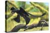 A Microraptor Perched on a Tree Branch-null-Stretched Canvas