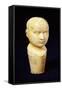 A Mid 19th Century Ivory Cane Handle Shaped as a Phrenology Bust-null-Framed Stretched Canvas