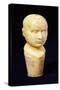 A Mid 19th Century Ivory Cane Handle Shaped as a Phrenology Bust-null-Stretched Canvas