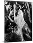 A Midsummer Night's Dream, 1935-null-Mounted Photographic Print