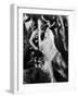 A Midsummer Night's Dream, 1935-null-Framed Photographic Print