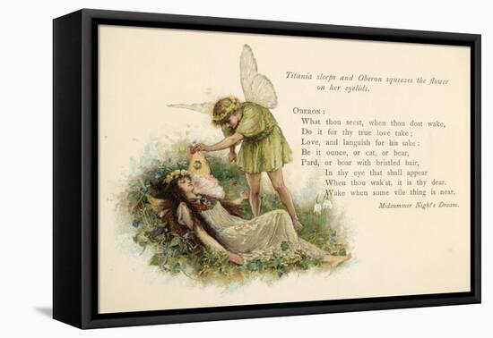 A Midsummer Night's Dream, Act II Scene II: Oberon Squeezes the Flower onto Titania's Eyelids-Walter Paget-Framed Stretched Canvas