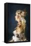 A Midsummer Night's Dream II-Tales Yuan-Framed Stretched Canvas