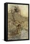 A Midsummer Night's Dream-Arthur Rackham-Framed Stretched Canvas