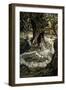 A Midsummer Night's Dream-Arthur Rackham-Framed Giclee Print