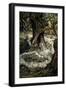 A Midsummer Night's Dream-Arthur Rackham-Framed Giclee Print