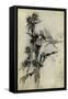 A Midsummer Night's Dream-Arthur Rackham-Framed Stretched Canvas