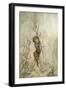 A Midsummer Night's Dream-Arthur Rackham-Framed Giclee Print