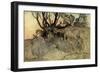 A Midsummer Night's Dream-Arthur Rackham-Framed Giclee Print