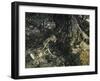 A Midsummer Night's Dream-Arthur Rackham-Framed Giclee Print