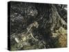 A Midsummer Night's Dream-Arthur Rackham-Stretched Canvas