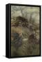 A Midsummer Night's Dream-Arthur Rackham-Framed Stretched Canvas