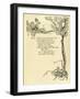 A Midsummer Night's Dream-Arthur Rackham-Framed Giclee Print