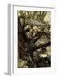 A Midsummer Night's Dream-Arthur Rackham-Framed Giclee Print