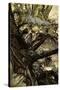 A Midsummer Night's Dream-Arthur Rackham-Stretched Canvas