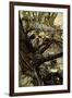 A Midsummer Night's Dream-Arthur Rackham-Framed Giclee Print