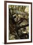 A Midsummer Night's Dream-Arthur Rackham-Framed Giclee Print