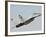 A Mig-29 of the Bulgarian Air Force-Stocktrek Images-Framed Photographic Print